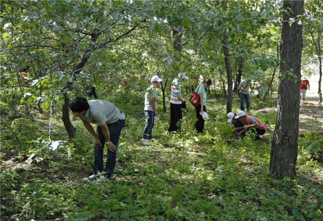 5e7423db79c30.jpg 564331dc4fcf78d0a0b709b2524ce5fc.jpg