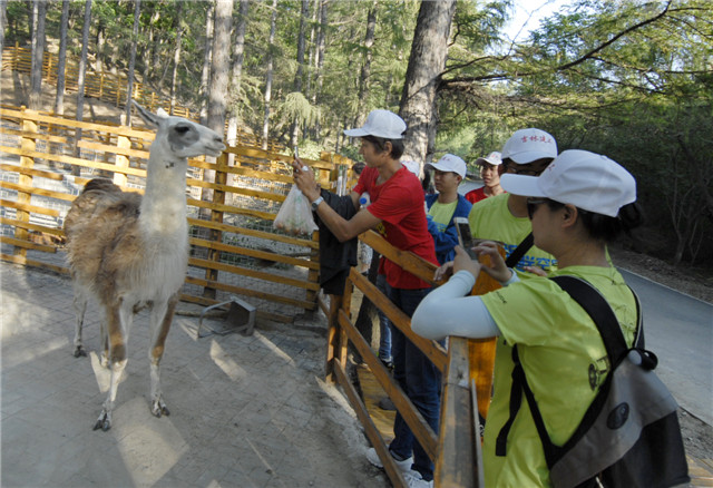 5e742da619e4a.jpg a3630d63d9e06de3800047c17fcb2c1b.jpg